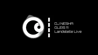 DJ Nesha - Classic Chicago House Mix, Livestream GLEIS 11 Landestelle ( Vinyl Only, Full Set)