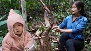 7 Days - Harvesting Bamboo Shoots To Sell - Repairing House Floors - Preparing To Build A New House