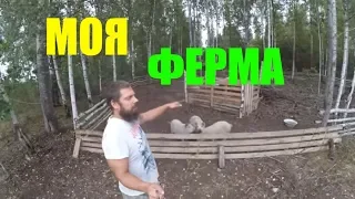 СЕМЕЙНАЯ ФЕРМА // план участка часть 1 // хутор Загайки