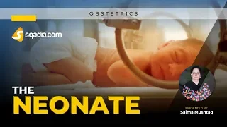 Obstetrics Lecture 2019 | The Neonate | sqadia.com | Clinical Courses Education