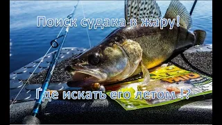 Поиск судака в жару! | Где искать его летом !?