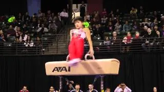 Koji Nonomura - Pommel Horse Finals - 2012 Kellogg's Pacific Rim Championships