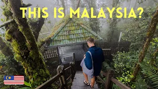 best thing to do in the CAMERON HIGHLANDS | Malaysia travel guide