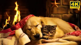 The Purring Cat with Cozy Dog 4K 🔥 Crackling Fireplace and Purr Sounds for Deep Sleep. NO Insomnia