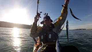 Kayak Fishing - Winter Mackerel and Herring