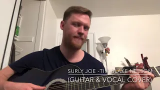 Surly Joe -Tim Blake Nelson (Guitar & Vocal Cover)