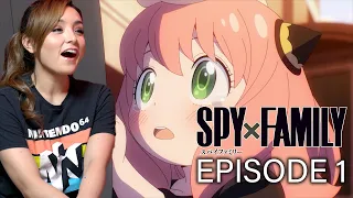 Too Funny Too Cute! Spy x Family Episode 1 Operation Strix Reaction