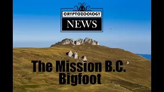 Real or Fake? The Mission BC Bigfoot Footage