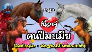 ดวงเนื้อคู่ "คนปีมะเมีย" คู่สมพงษ์ยิ่งอยู่ยิ่งรวย คู่ปะทะและวิธีแก้เคล็ด