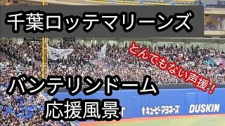 【バンテリンドームに響き渡る声援】千葉ロッテマリーンズバンテリンドーム応援風景[2024年3月22日]