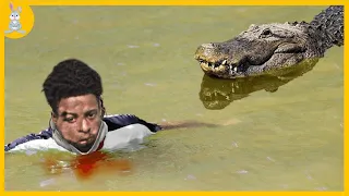 10 Biggest Crocodile Attacks Caught on Camera | Scariest Crocodile attacks