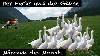 Der Fuchs und die Gänse - Märchen - Deutsch lernen