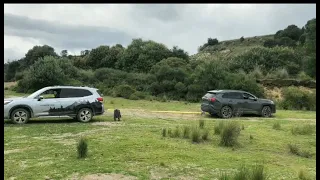 Toyota Rav4 2020 vs Subaru Forester 2020 TUG OF WAR - Trailer