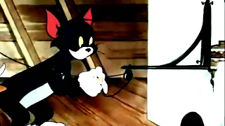 TOM and JERRY Shutter Bugged Cat