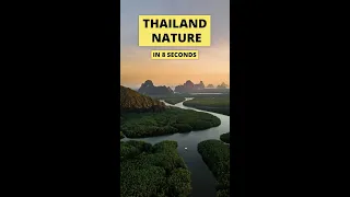 Have you EVER seen anything LIKE THIS? 🟢 | Nature | Thailand Travel Tips