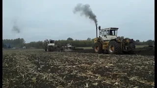 A Magyar Legendák! 3x Rába Steiger