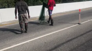 🇯🇲 JAMAICAN MAN ALMOST GOT EATEN BY CROCODILE 😳😧😧