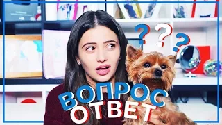 О взглядах на жизнь // Когда уходить из школы и нужен ли универ?