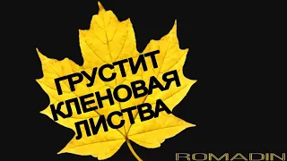 🍁  О ЛЮБВИ БЕЗ ГРУСТИ! 🍃 Грустит кленовая листва #Ромадин #playlist