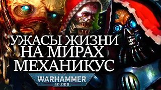 УЖАСНЫЕ РЕАЛИИ ЖИЗНИ НА МИРАХ АДЕПТУС МЕХАНИКУС ВО ВСЕЛЕННОЙ WARHAMMER 40000