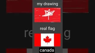 drawing random flag by memory! (credit : jacksuckatgeography)