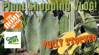 405: Plant Shopping VLOG: I’m Dropping A Couple Of Coins🪙💸 On Some Nice Plants! | Cactus & More
