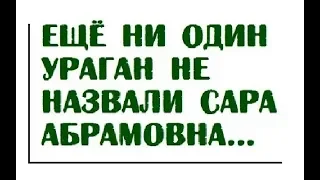 Ещё ни один ураган не назвали "Сара Абрамовна"