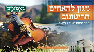 ניגון להאחים חריטונוב | הרב מנחם מענדל עמאר | געגועים 7