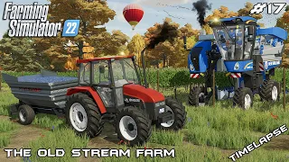 Harvesting GRAPES and making GRAPE JUICE | The Old Stream Farm | Farming Simulator 22 | Episode 17