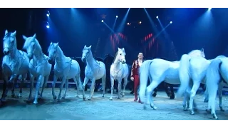 Weihnachtszirkus Stuttgart 2015/2016 - Pferdekarussell mit 23 Pferden - Weltstars in der Manege