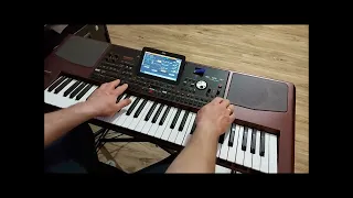 Żono moja - cover Łukasz Korg Pa -1000