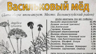 ВАСИЛЬКОВЫЙ МЁД. Лучший мёд России 2022. Призёр конкурса. Пасека Старчевских, Сибирь