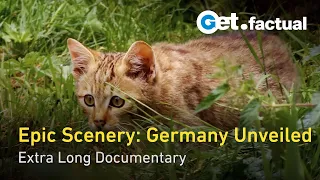 Wild Germany: Scenic Journey from the Black Forest to the Coastlines | Extra Long Documentary