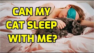 Is It OK For Cats To Sleep On Your Bed?