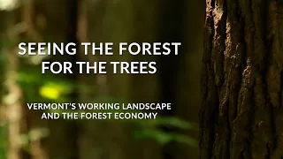 Seeing the Forest for the Trees: Vermont’s Working Landscape and Forest Economy