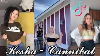 Kesha - Cannibal Tik Tok Dance Tutorial Compilation