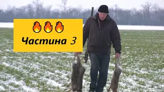 🔥🔥🔥 Частина 3 | 🤘🏾🎬 Полювання на зайця-русака | Закриття сезону 2020✨