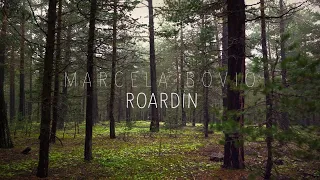 Marcela Bovio - Roardin (no one is born a hero) - Official Lyric Video