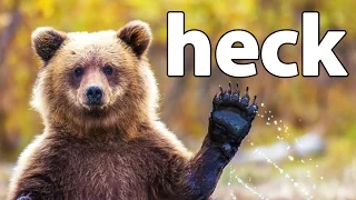 HECK | Bear Simulator