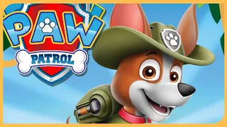 Щенячий патруль Задание для Трекера!Paw patrol a day Adventure in bay Бухта приключений