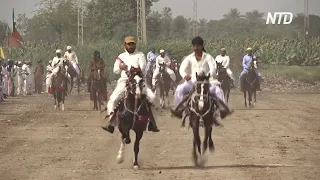 На фестивале в Пакистане скакали на лошадях и бросали соперников на землю
