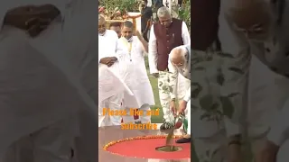 pm Modi plants kalpataru sapling at Bihar Vidhan sabha #shorts #viral #trending #pmmodi #nytra #pm