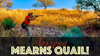 *EPIC* Mearns Quail Hunt! Arizona-part 2