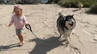 Adorable Little Girl Walks Her Dog On The Beach! (So Cute!!)