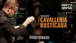 Intermezzo | Cavalleria rusticana (Orchestra of Opera North)
