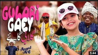 Ayat Arif || Ayat Arif  New Song Leatest || Gulabi Gaey || Bakra Eid Song || Bakra Eid Special