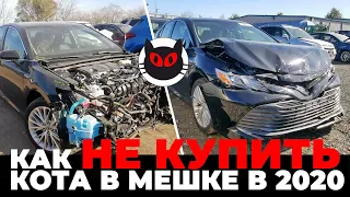 Попасть на деньги с title pending. Как выбирать авто на копарт (copart)