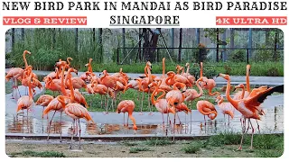 Mandai BIRD PARADISE | Singapore's new BIRD PARK | 4K UHD