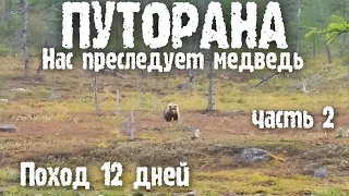 ✅НЕЗАБЫВАЕМЫЙ ПОХОД НА ПЛАТО ПУТОРАНА ВСТРЕЧА С ОПАСНЫМ МЕДВЕДЕМ