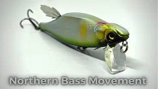 Anglers Need To Know This About Northern Bass!